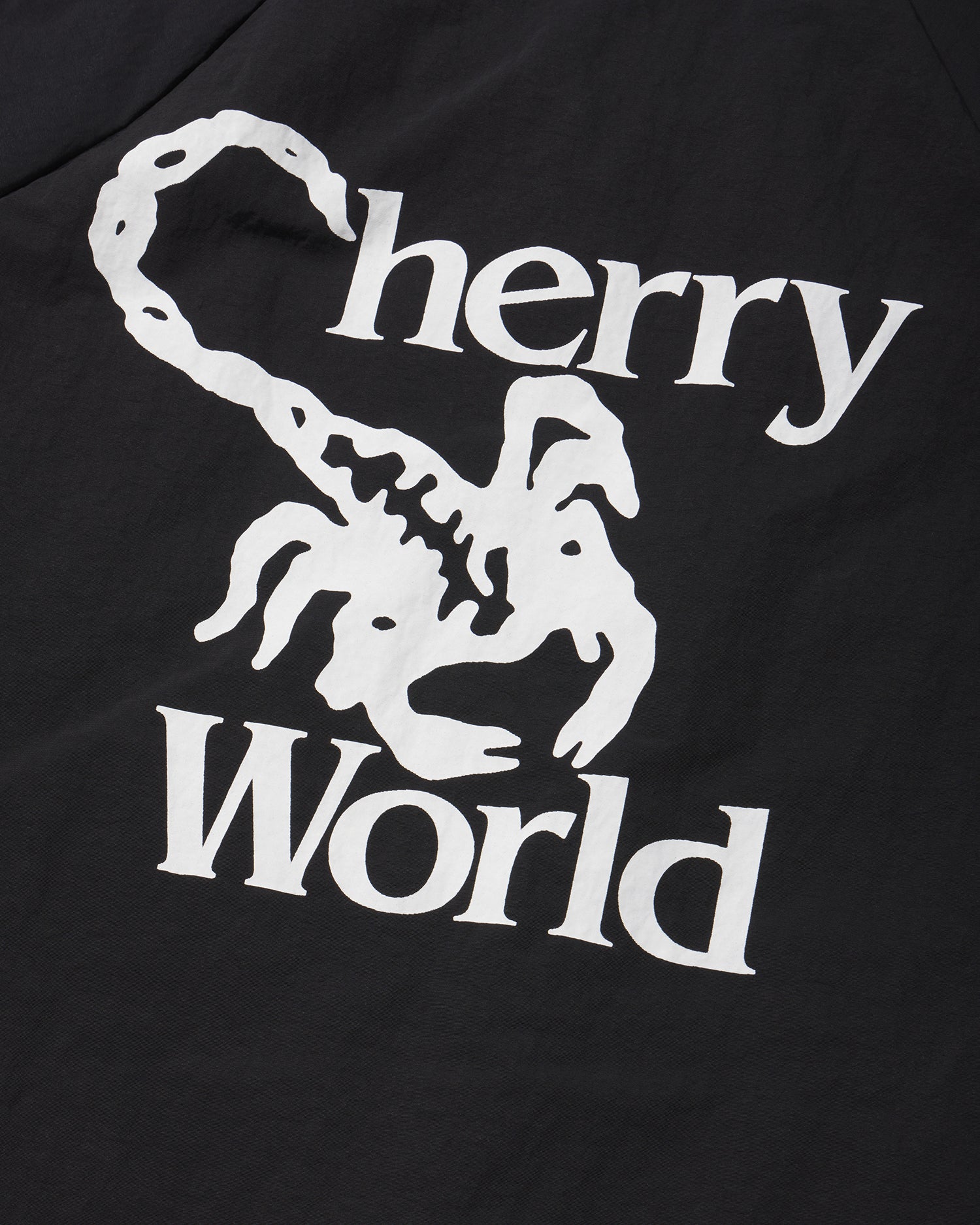 Japanese Nylon Coach Jacket in Black – Cherry World