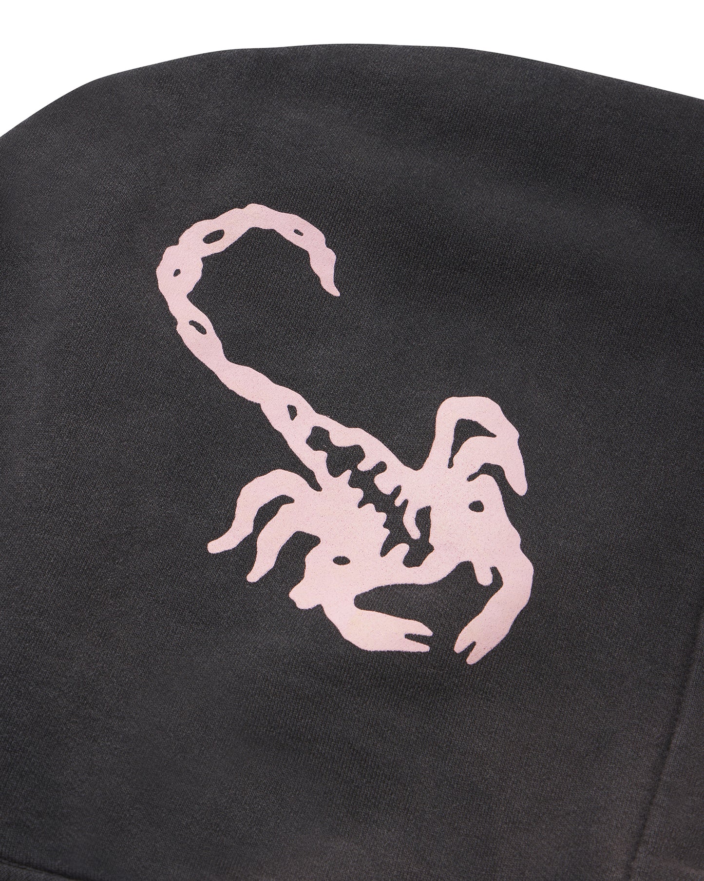 Scorpion Hoodie in Faded Black